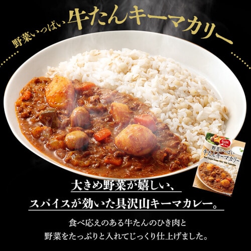 長崎豊味館　牛タンカレー×2個、牛タンデミグラスソース×2個　計4個 牛タンカレー 2箱入 | レトルトカレー | 長崎豊味館公式