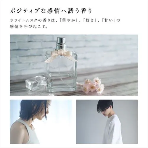 [tOX F fBt[U[ zCgXN̍ ragrance Diffuser SAR0102 _6