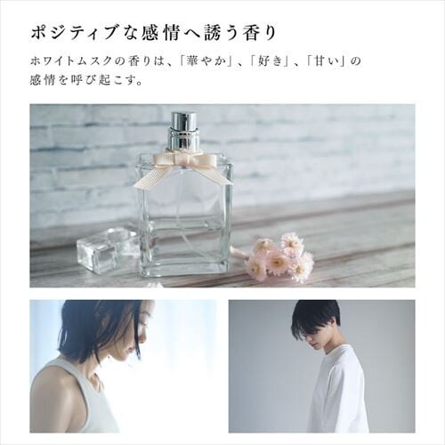 [tOX F fBt[U[ zCgXN̍ ragrance Diffuser SAR0102 _6