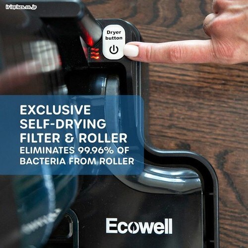 掃除機 クリーナー LULU乾湿両用スティッククリーナー 黒／青 P05