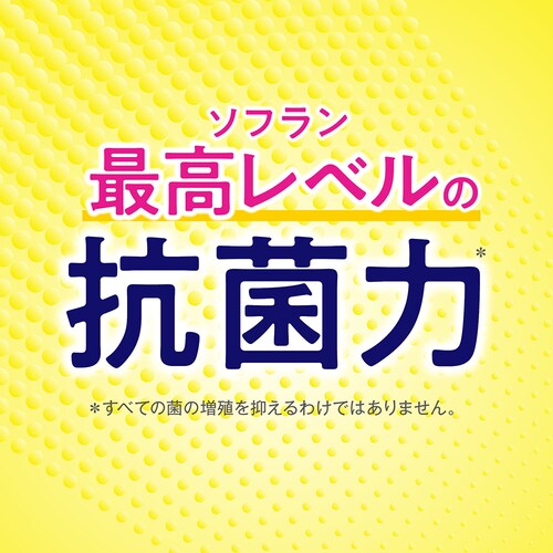 LION \t v~AL { zCgn[uA}̍ 510ml_4