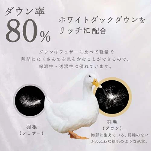 Hѕzc _uO WDD80% 300dp 1.4kg O[_4