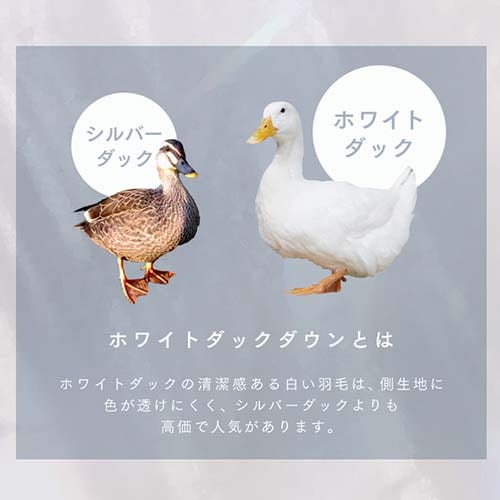 羽毛掛け布団 セミダブル ロング ダウン80％ 高補湿・透湿 アイボリー