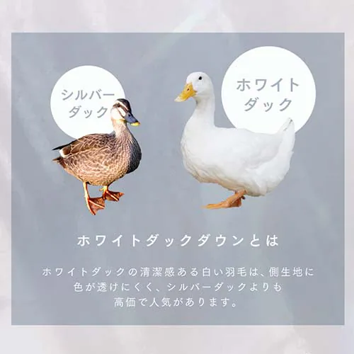 羽毛布団 シングルロング WDD80% 300dp 1.0kg アイボリー_5