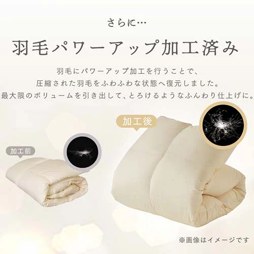 Hѕzc _uO WDD80% 300dp 1.4kg O[_6