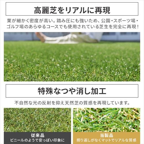 lH  20cm~20cmTv Y ŏ30mm A _11