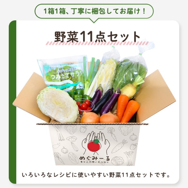 お任せ野菜ボックス 野菜11点セット【時間指定不可】【同梱不可