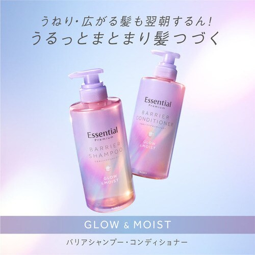 Essential GbZV v~A 邨oA |v Vv[{RfBVi[ VL[X[X_7