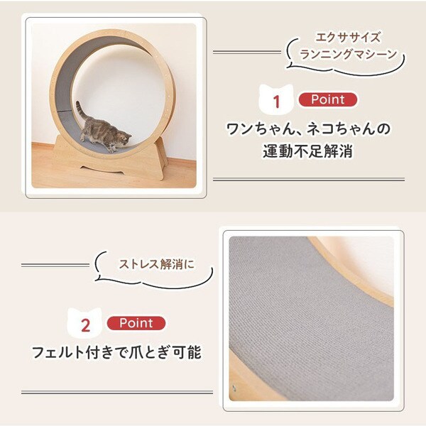 山猫 楽天市場】【特典付き】［ 石こうボード壁対応ウォール猫用爪