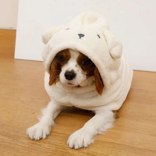 カラリペットローブ アニマル イヌ 超小型〜小型犬・猫用_10