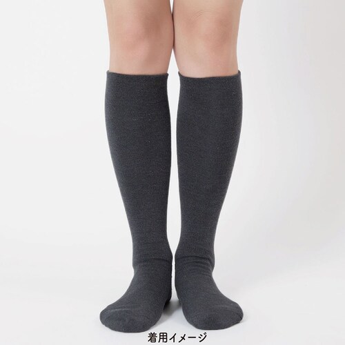 Fukuske X^CO  ېSn [\bNX C n nC\bNX36cm bOMgp 23-25cm 4245-83M220 uEyvUZNgz_7