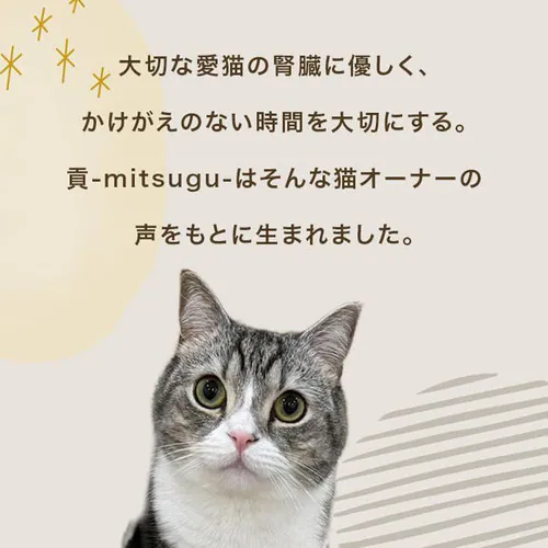 MISHONE ミシュワン 貢-mitsugu- プレミアムペースト サーモン味 6g×8本 _2