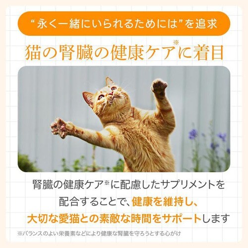 MISHONE ミシュワン 貢-mitsugu- プレミアムペースト サーモン味 6g×8本 _4