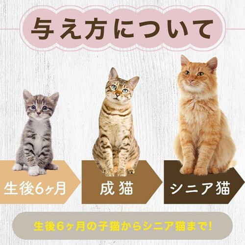 MISHONE ミシュワン 貢-mitsugu- プレミアムペースト サーモン味 6g×8本 _6