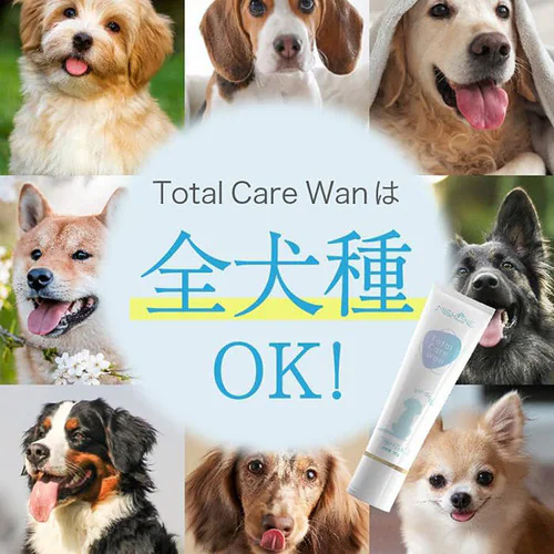 MISHONE ミシュワン Total Care Wan 30g _2