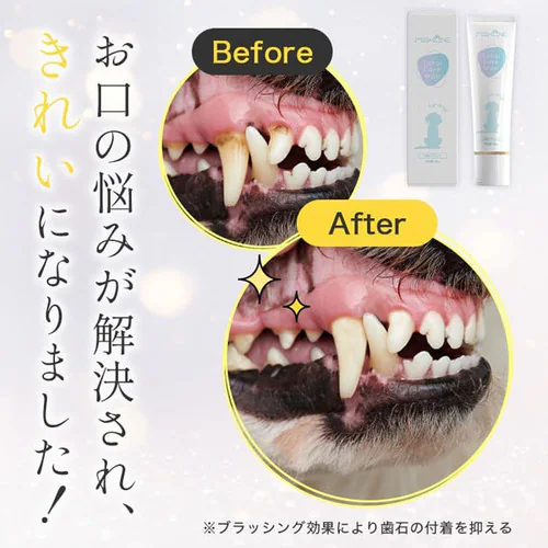 MISHONE ミシュワン Total Care Wan 30g _6