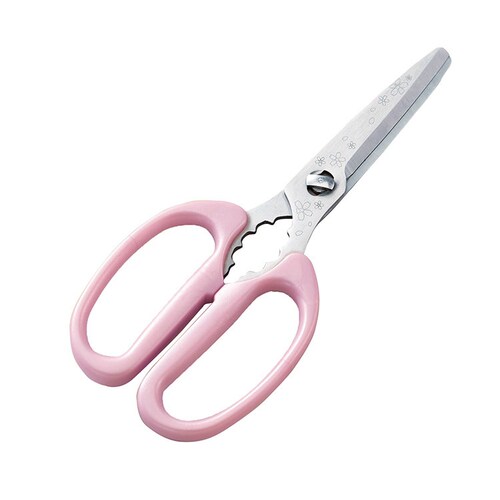 L ֑Z[ Lb`͂ 67004200 yvUZNgz_2