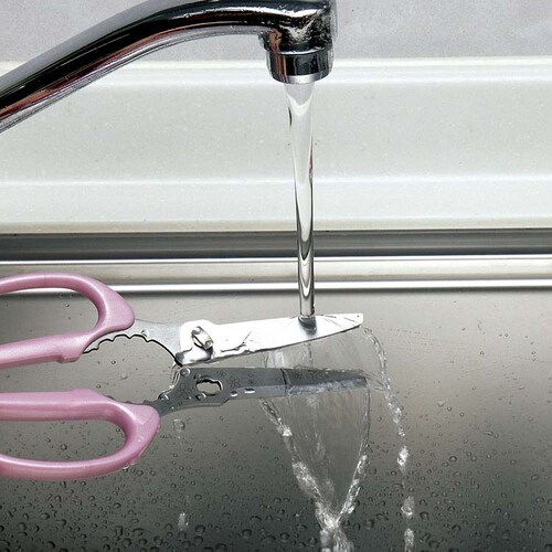 L ֑Z[ Lb`͂ 67004200 yvUZNgz_5