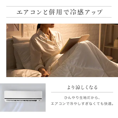 シルクタッチ枕カバー シャンパン【プラザセレクト】_7