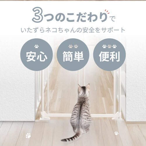 ɂhANA zCg 1271107018 L Q[gtFX_2