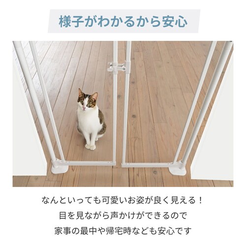 ɂhANA zCg 1271107018 L Q[gtFX_11