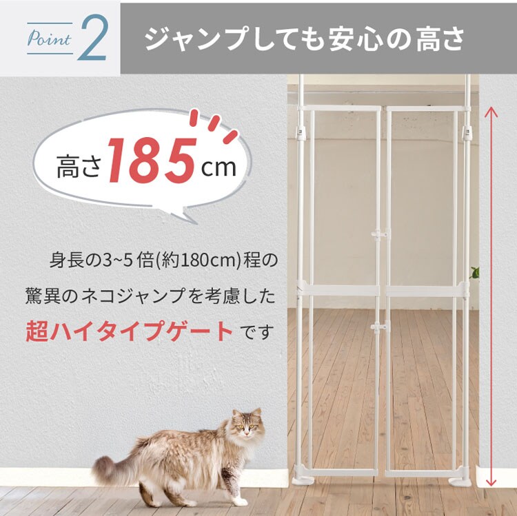 いんみにゃん コウペンちゃん 西武30000系「コウペンちゃんはなまるトレイン
