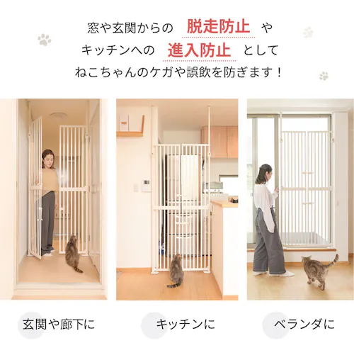 ɂhANA zCg 1271107018 L Q[gtFX_10