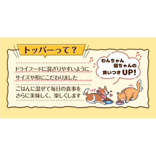 y12ZbgzȂ قg Ă ~bNX _6