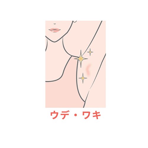 ロゼンスター ボディシェーバー ホワイト V-469 【プラザセレクト】_3