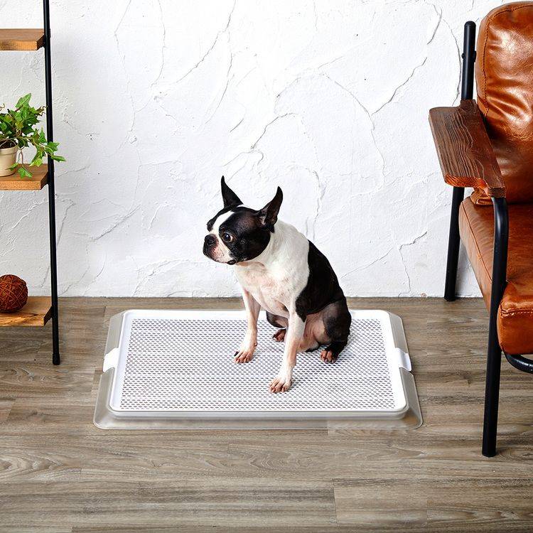 ボンビアルコン オンラインショップ / ペットレークリアメッシュXL