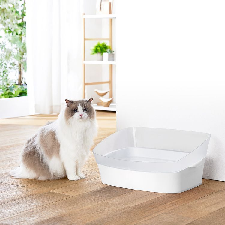 ボンビアルコン しつけるトイレ クリアキャットM 猫トイレ 7275770