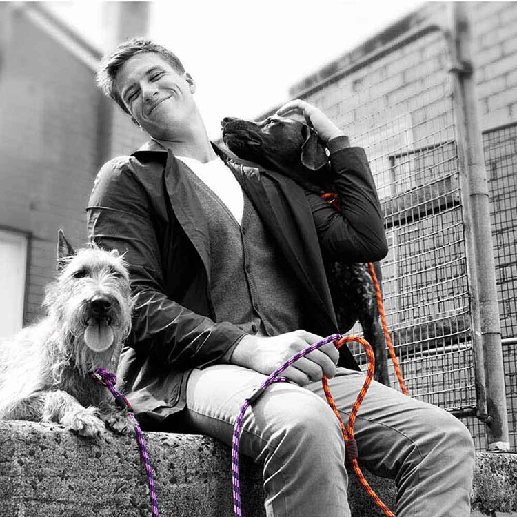 犬用 リード ルカリード 9mm パープル EZYDOG イージードッグ 7278824