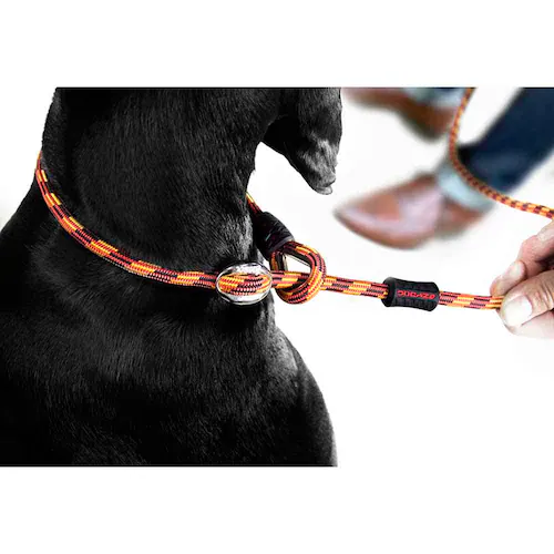 J[hCg 6mm ubN  p[h  EZYDOG_5