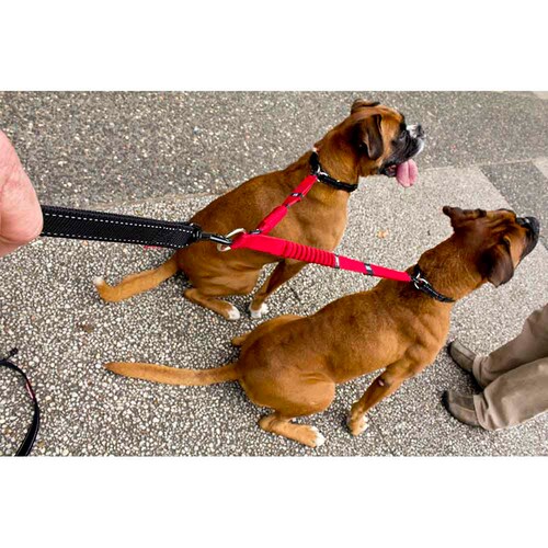 [VbNGNXeV _u [h bh EZYDOG_2