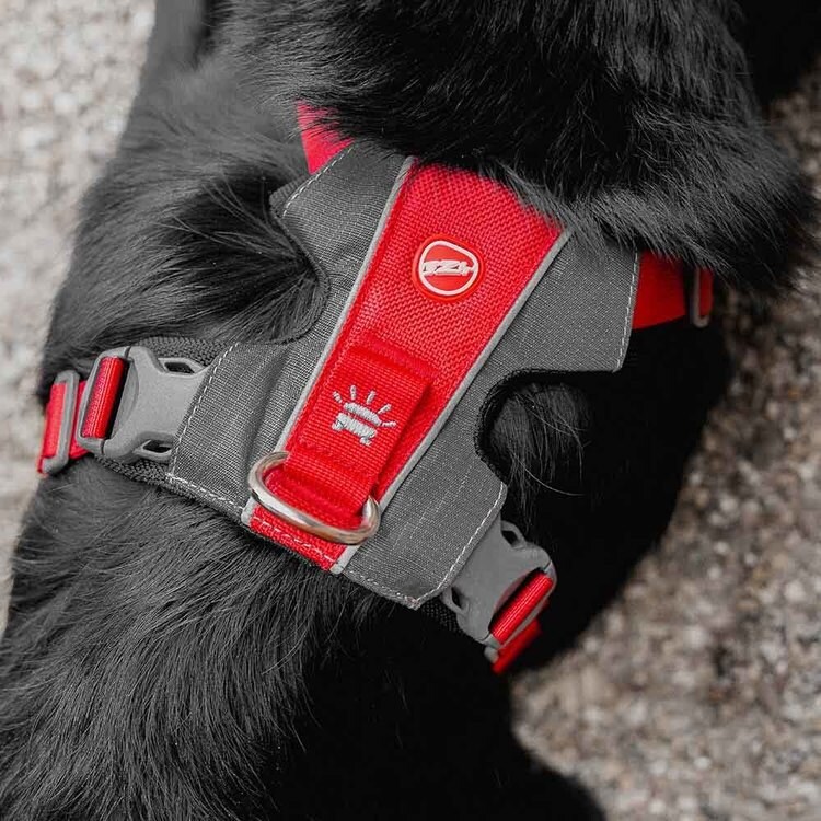 犬 ハーネス EZエックスリンクハーネス S レッド 7278981 │アイリス