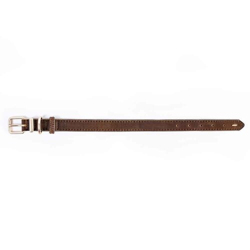 p  U[J[ S uE EZYDOG C[W[hbO_6