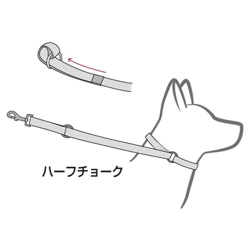 @I4Cg fj  EZ _6