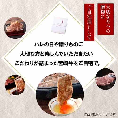 南日本フレッシュフード 宮崎牛ロースワンポンドステーキ WF-130【冷凍】 901041845 【プラザセレクト】【代引き不可】_10