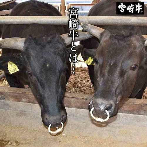 {tbVt[h {苍[XĂ400g FG-800yⓀz 901167340 yvUZNgzysz_7