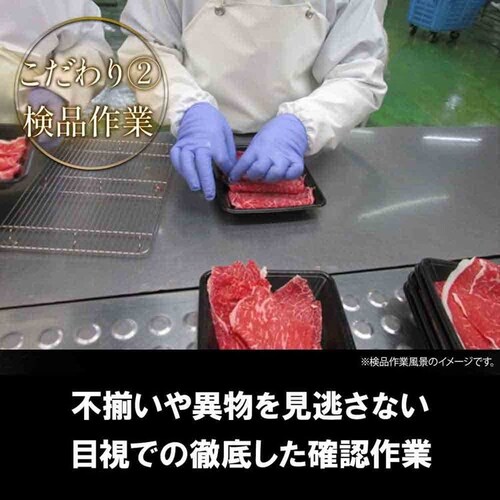 {tbVt[h BYa؂藎Ƃ500g~2pbN FG-700yⓀz 901166044 yvUZNgzysz_5