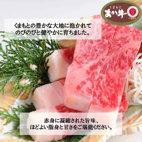 南日本フレッシュフード くまもとあか牛 ロースステーキ KA-100【冷凍】 901043058 【プラザセレクト】【代引き不可】_2