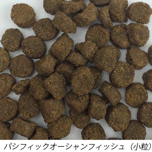t@[XgCghbO POtBbV X[oCc 5.44kg {rAR _2