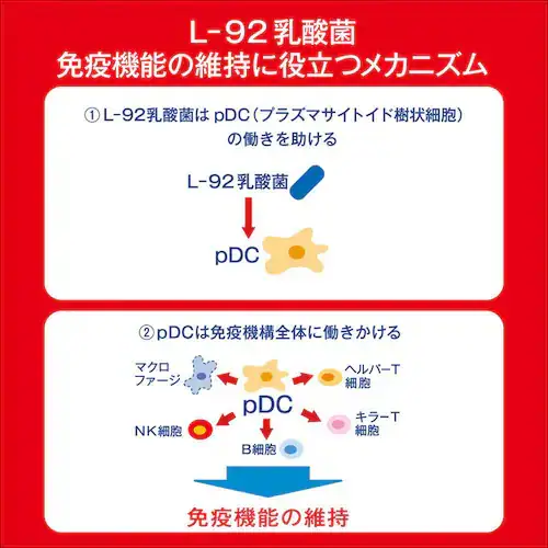 y24{zATq PLUSJsX ̎bPA 200ml _13