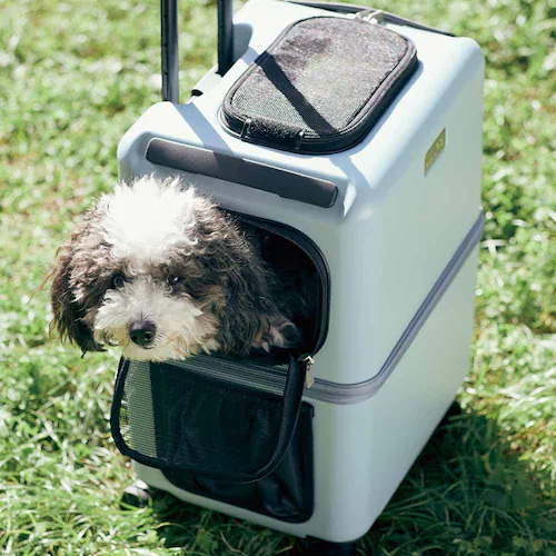 ペットキャリー ペットカート ティーアンドエス PET CARRY PeTiCO  3001-M ブルー×ホワイト電車 通院 犬 猫_9