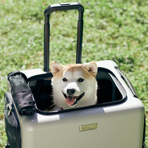 ybgL[ ybgJ[g eB[AhGX PET CARRY PeTiCO  3001-L O[ ^  d ʉ@  L _6
