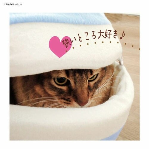 ybc[g jƂ₩}J [YsN_3