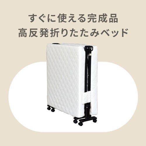 �x�b�h �Z�~�V���O�� �܂肽���� ������ �g���s�v C-85O �T���G��_2