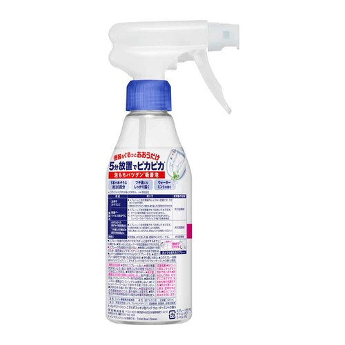 ԉ Kao gC}WbN 炸XbLApbN { 300ml yvUZNgz_4