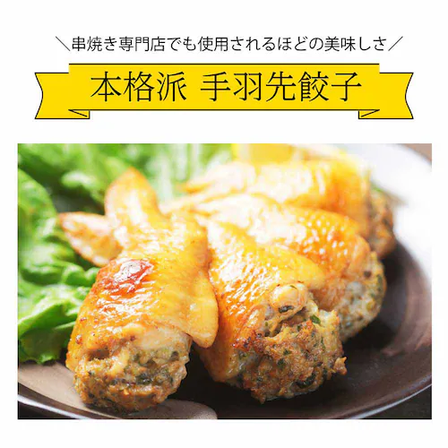 【30本】Tokka 手羽先餃子 【時間指定不可】【プラザセレクト】【代引き不可】_3