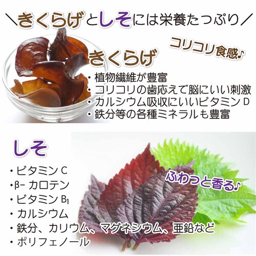 y4܁zTokka т̂ 炰 90g yԎwszyszyszyvUZNgz_4